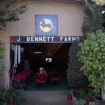 Head trainer Jim Bennett under his birthday gift barn sign at J.Bennett Farms in Los Angeles.